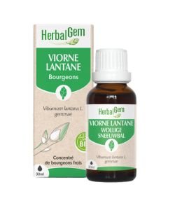 Viorne lantane (Viburnum lantana) bourgeon BIO, 30 ml